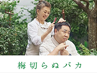 梅切らぬバカ